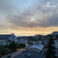 фото из отзыва ID 2220264