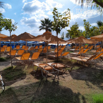 фото из отзыва ID 2220358