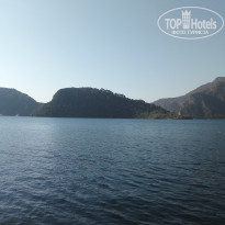 фото из отзыва ID 2220347