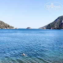 фото из отзыва ID 2220347