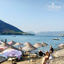 фото из отзыва ID 2220347