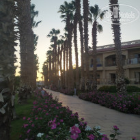 фото из отзыва ID 2220330