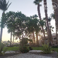 фото из отзыва ID 2220330