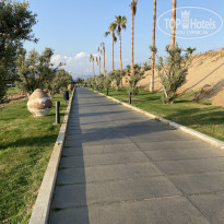 фото из отзыва ID 2220458