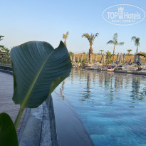 фото из отзыва ID 2220458