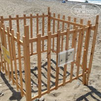 фото из отзыва ID 2220612