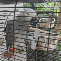 фото из отзыва ID 2220687