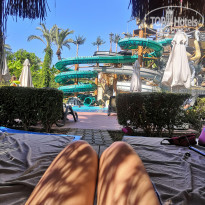 фото из отзыва ID 2220781