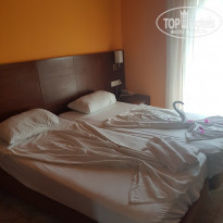 фото из отзыва ID 2220263