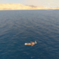 фото из отзыва ID 2220920