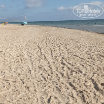 фото из отзыва ID 2220489