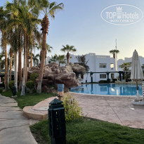 фото из отзыва ID 2221076