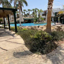 фото из отзыва ID 2221076