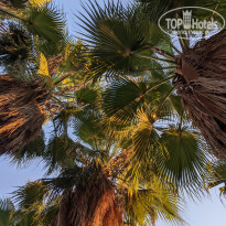 фото из отзыва ID 2221207