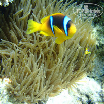 фото из отзыва ID 2221283