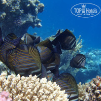 фото из отзыва ID 2221283