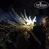 фото из отзыва ID 2221283