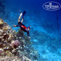 фото из отзыва ID 2221283