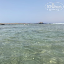 фото из отзыва ID 2221440