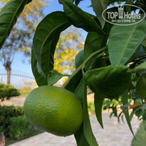 фото из отзыва ID 2221450