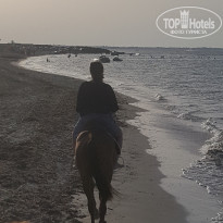 фото из отзыва ID 2221466