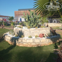 фото из отзыва ID 2221517