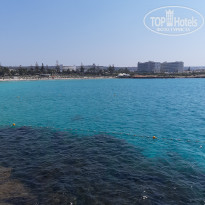 фото из отзыва ID 2221553