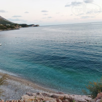 фото из отзыва ID 2221576