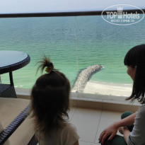 фото из отзыва ID 2221645