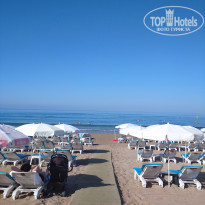 фото из отзыва ID 2221619