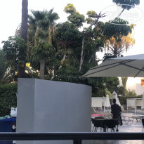 фото из отзыва ID 2221704