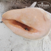 фото из отзыва ID 2221733