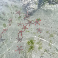 фото из отзыва ID 2221733