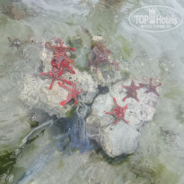 фото из отзыва ID 2221751