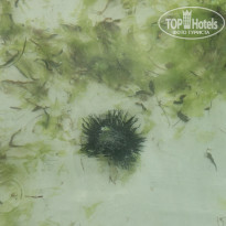 фото из отзыва ID 2221751