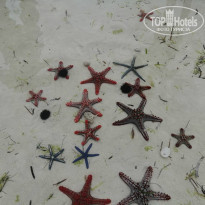 фото из отзыва ID 2221751