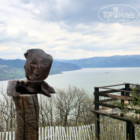 фото из отзыва ID 2221784