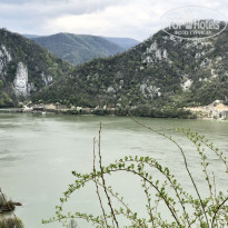 фото из отзыва ID 2221784