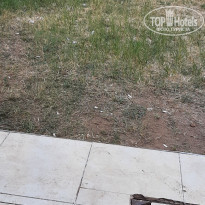 фото из отзыва ID 2221828