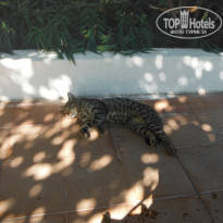 фото из отзыва ID 2221835