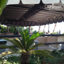 фото из отзыва ID 2221835