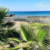 фото из отзыва ID 2221863