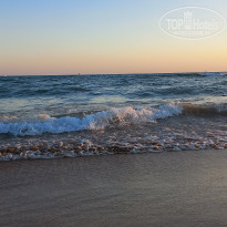 фото из отзыва ID 2221866