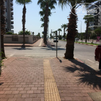 фото из отзыва ID 2221896