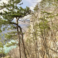 фото из отзыва ID 2221784