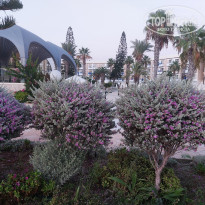 фото из отзыва ID 2221956