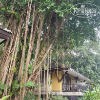 фото из отзыва ID 2222121