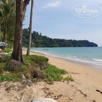 фото из отзыва ID 2222121