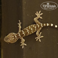 фото из отзыва ID 2222121