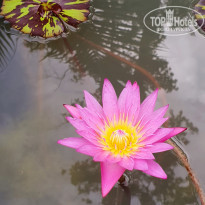 фото из отзыва ID 2222121